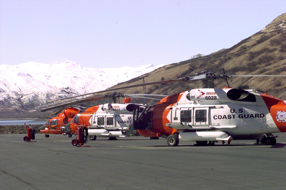 HH-60J AND HH-65A HELICOPTERS