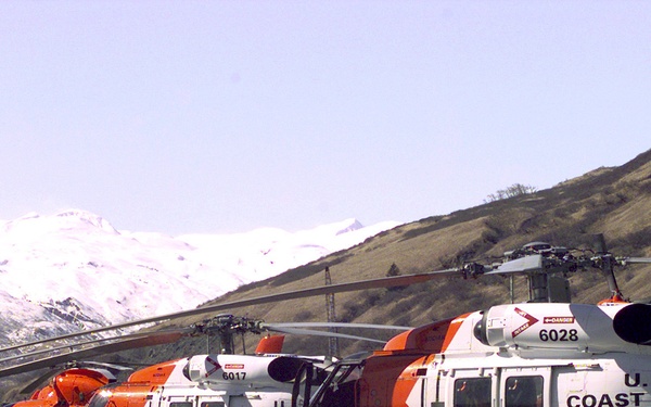 HH-60J AND HH-65A HELICOPTERS