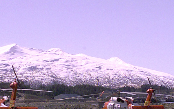 HH-60J AND HH-65A HELICOPTERS