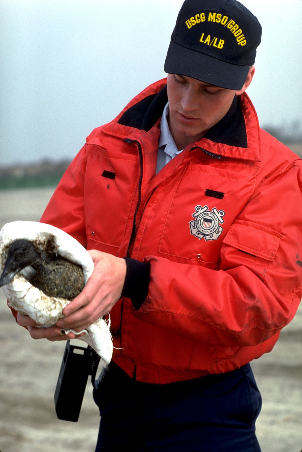 AMERICAN TRADER OIL SPILL