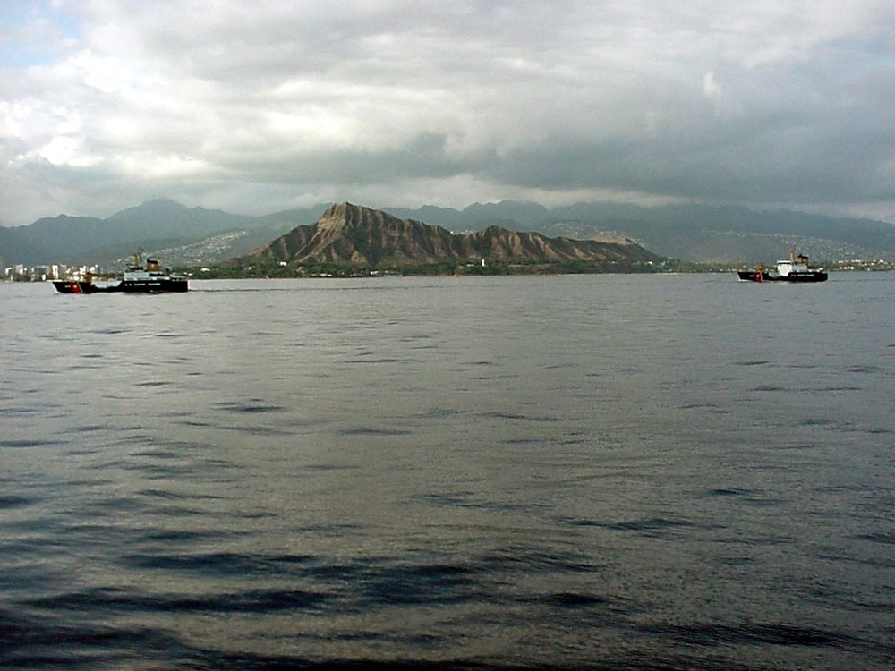 CUTTERS KUKUI AND WALNUT