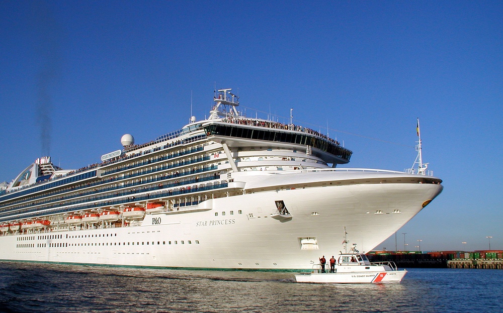 CRUISE SHIP SECURITY