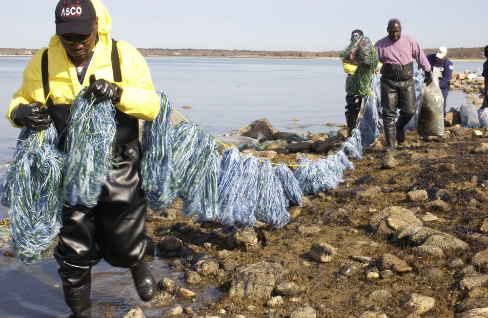 BUZZARD BAY OIL SPILL