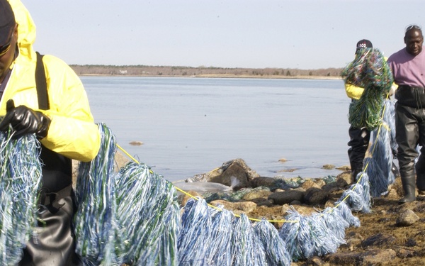 BUZZARD BAY OIL SPILL