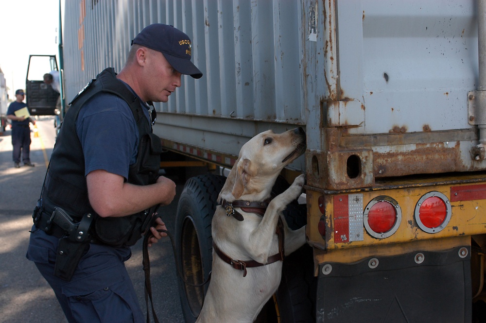 MULTI-AGENCY STRIKE FORCE OPERATION