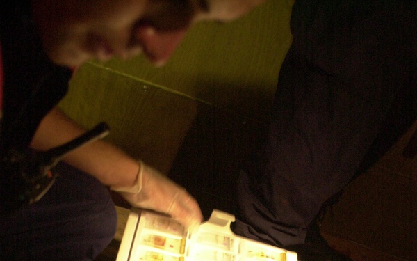 OP. ABLE SENTRY - FORWARD