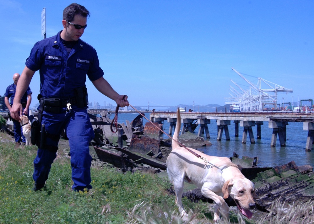 THEY PAY ME FOR THIS?