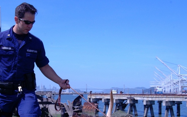 THEY PAY ME FOR THIS?