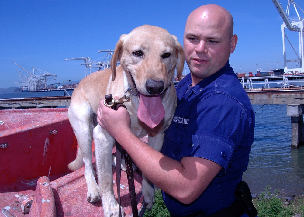 THEY PAY ME FOR THIS?