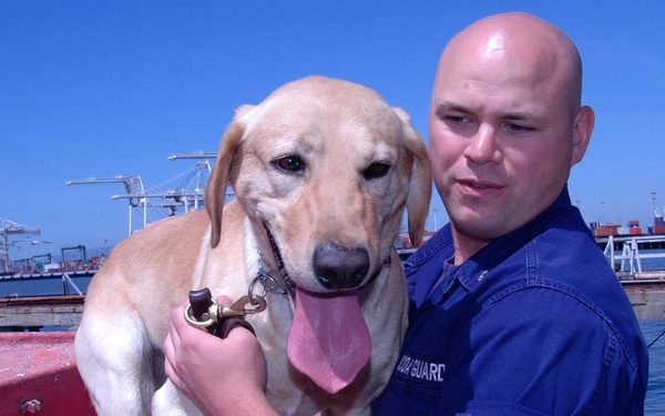 THEY PAY ME FOR THIS?