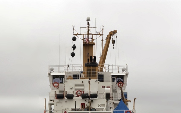 CUTTER ABBIE BURGESS