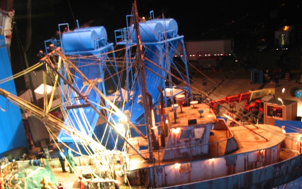 THE REAL-LIFE GUARDIAN