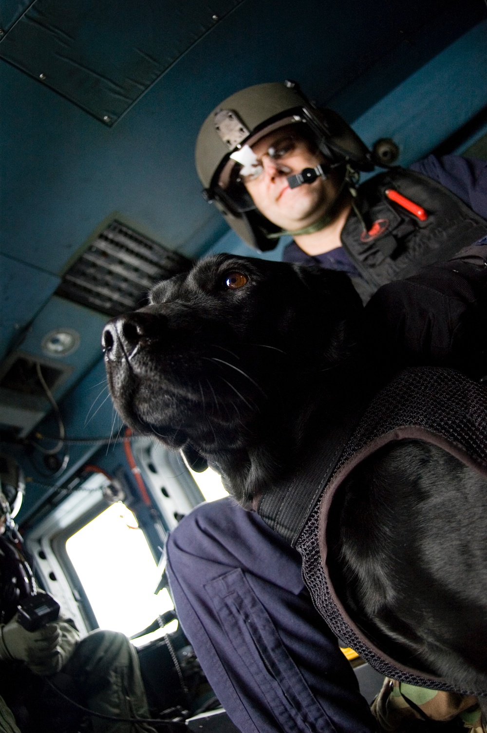 COAST GUARD DOG