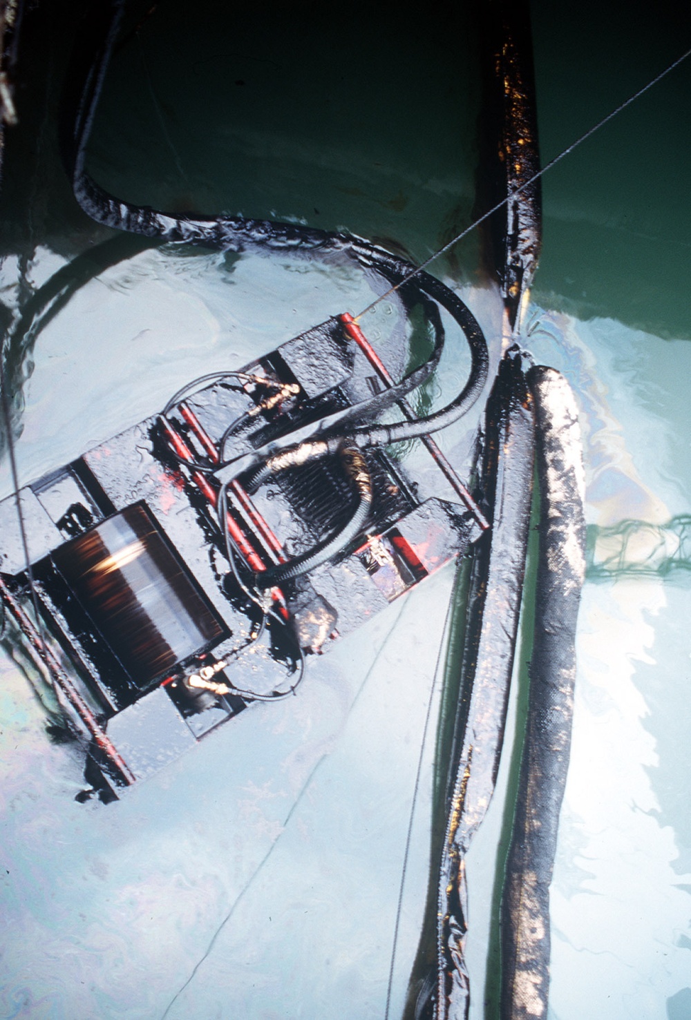 ENVIRONMENTAL RESPONSE