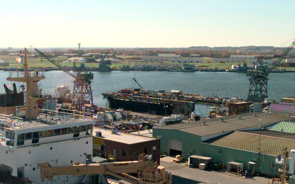 CGC WILLOW, (WLB 202)