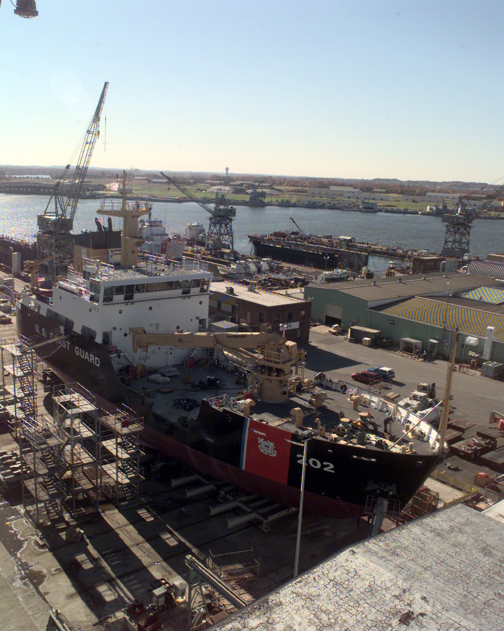CGC WILLOW (WLB 202)