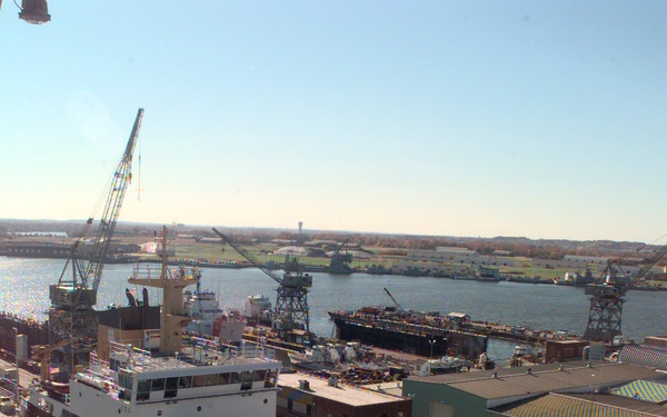 CGC WILLOW (WLB 202)