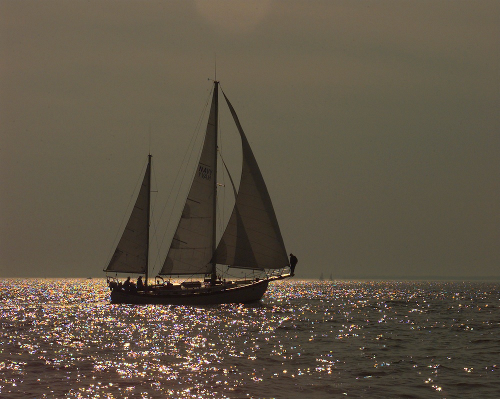 Sailboat cruises the Chesapeake Bay