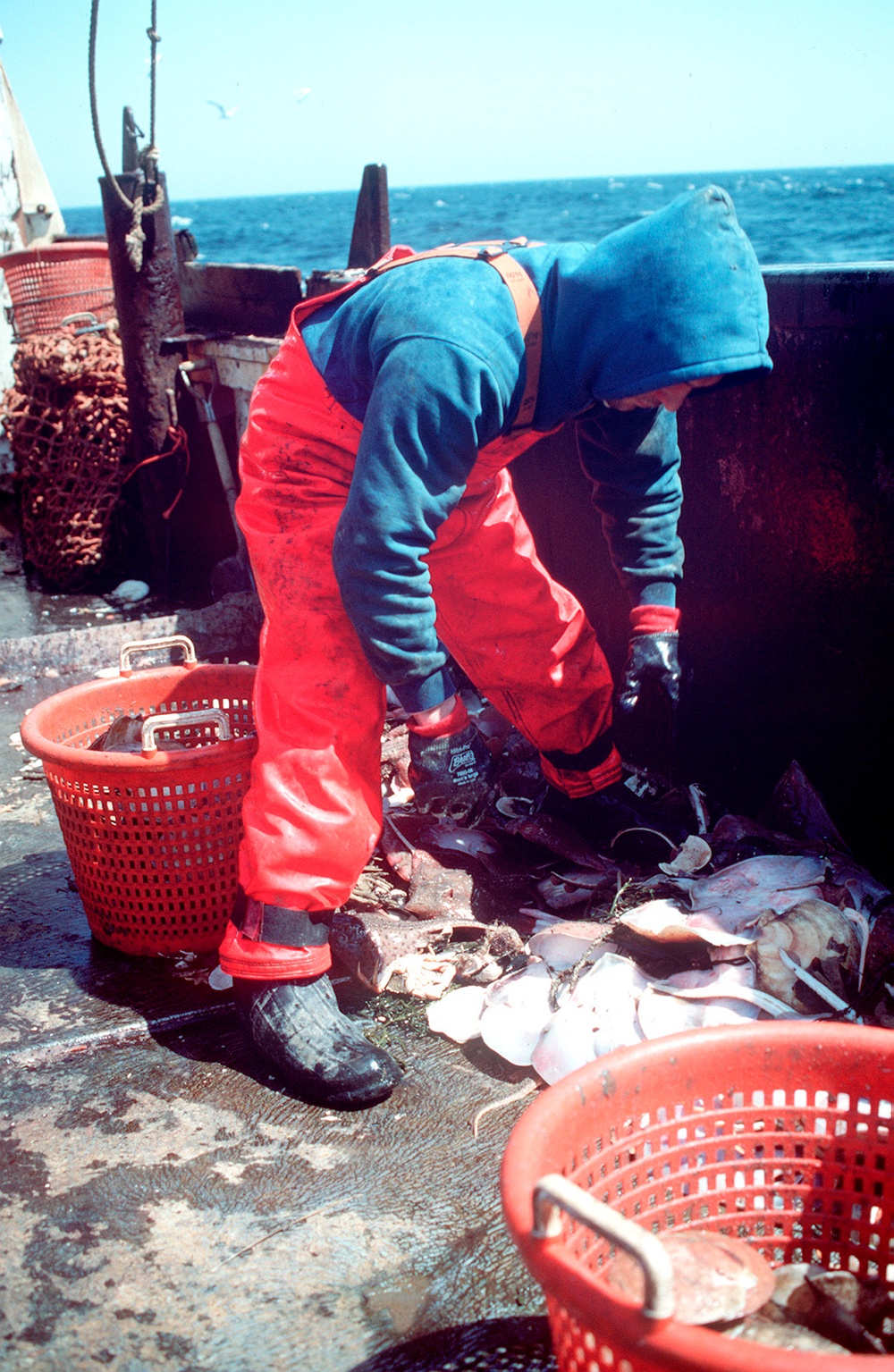 MARITIME LAW ENFORCEMENT