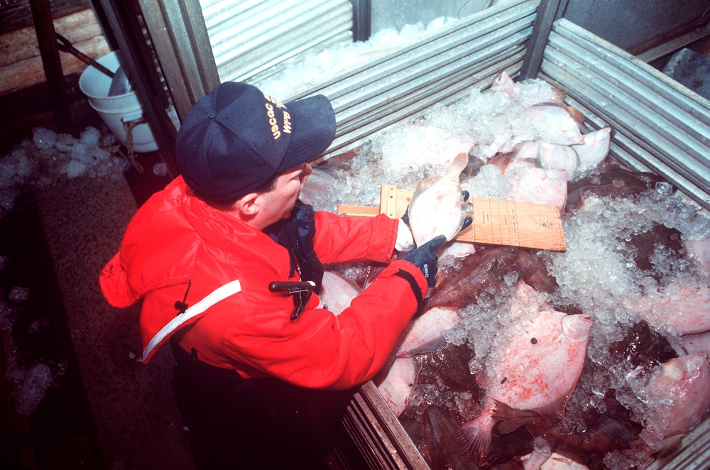 MARITIME LAW ENFORCEMENT