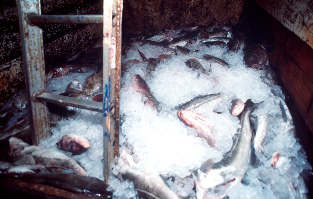 MARITIME LAW ENFORCEMENT