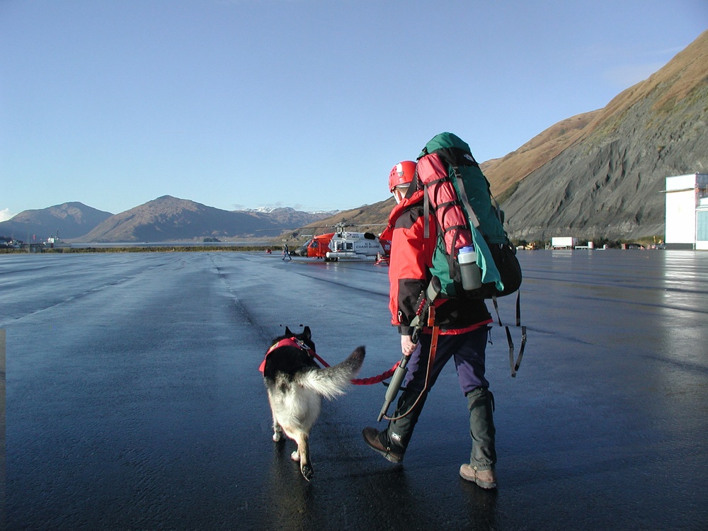 SEARCH AND RESCUE DOG TEAM