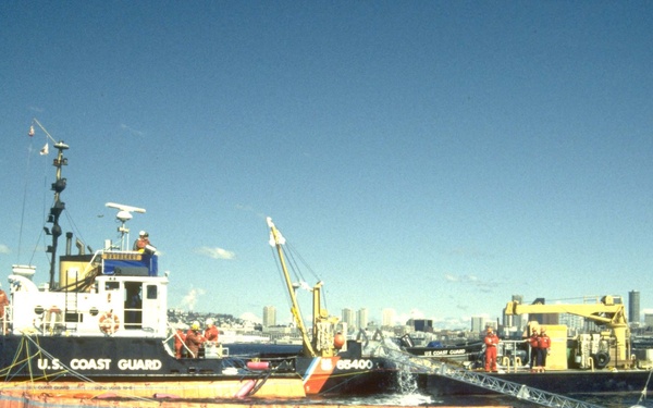 CGC BAYBERRY (WLI 65600)