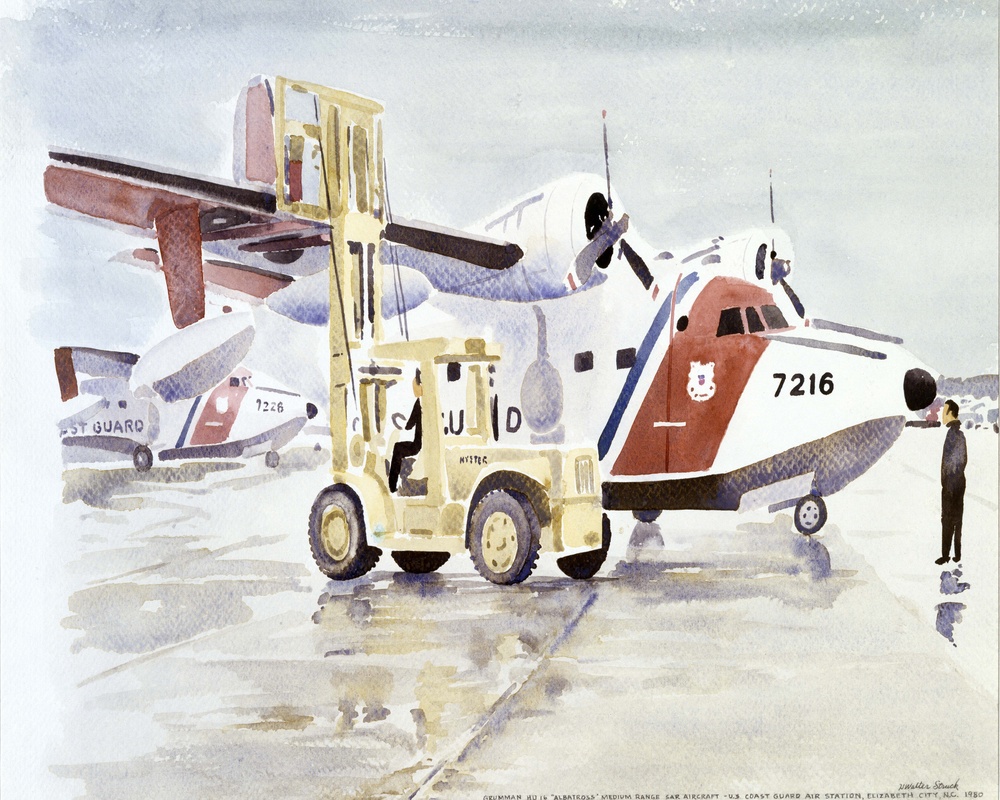 Albatross: Medium-range SAR Aircraft by Walter Struck