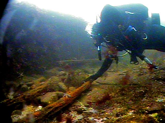 Diver marks Minot's Ledge artifact- FOR RELEASE