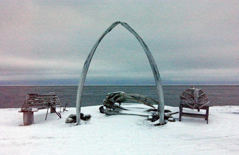 Arctic Domain Awareness Patrol