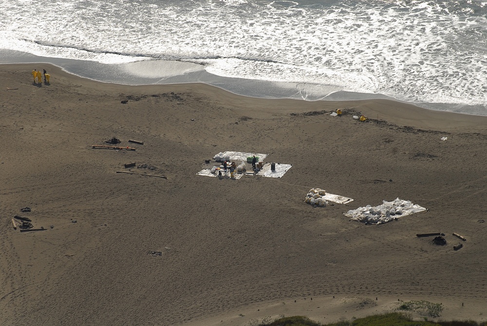 Cosco Busan Oil Spill Cleanup