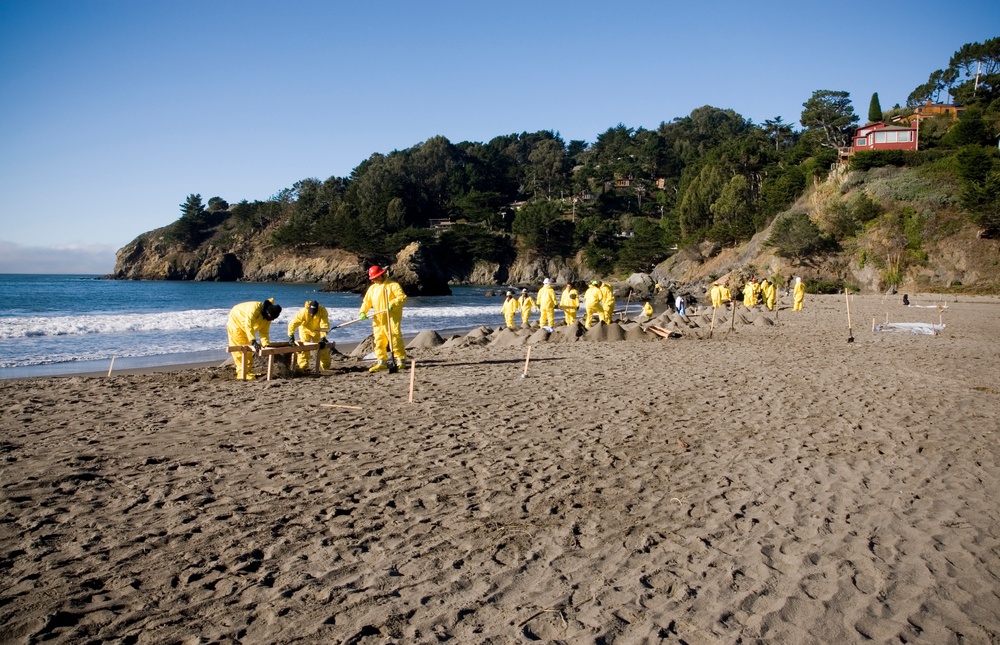 Muir Beach Cleanup
