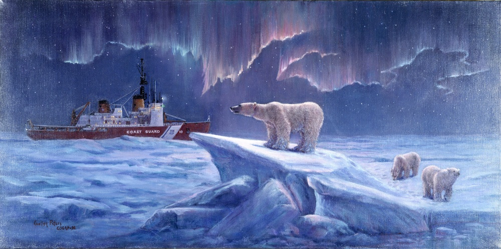 Polar Star Under the Northern Lights by Evelyn Peters