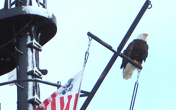 Keeping a watchful eye over the Coast Guard Cutter Jarvis