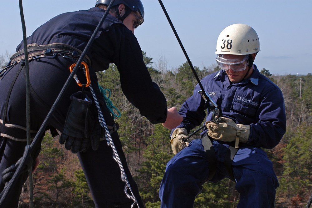 D.O.G. Assessment &amp; Selection