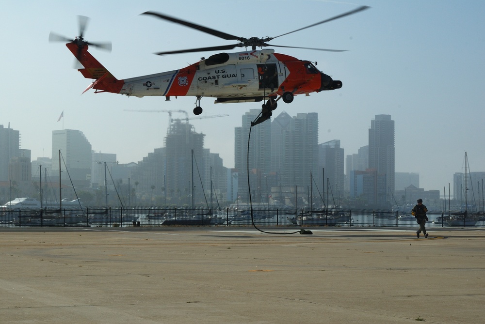 Vertical Insertion Training