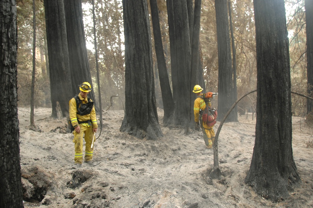 Coast Guard Training Center Petaluma Joins Sonoma County to Fight Summit Fire