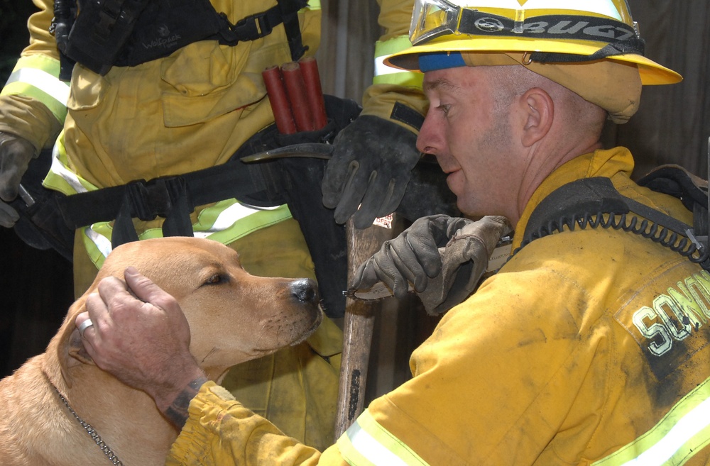 Coast Guard Training Center Petaluma Joins Sonoma County to Fight Summit Fire