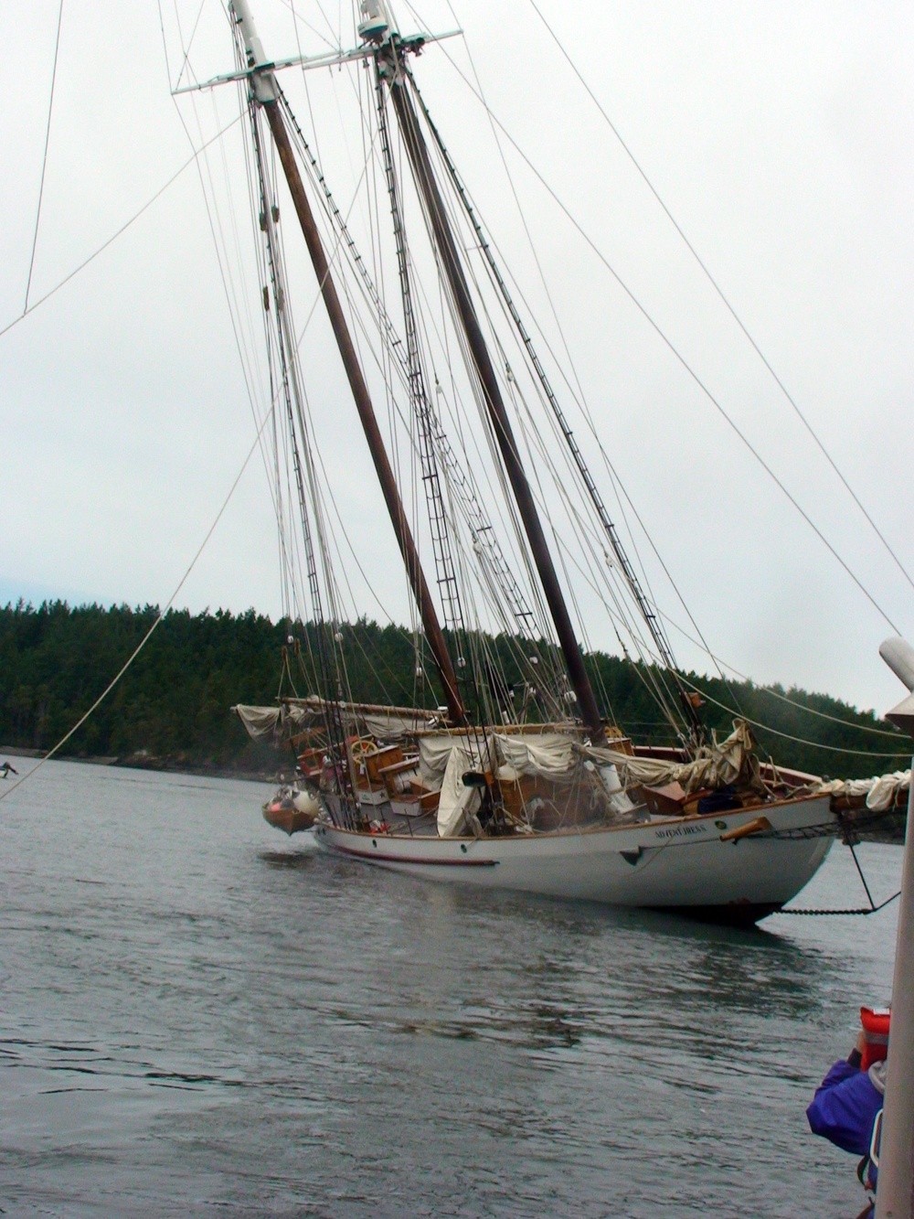 SV Adventurous grounding