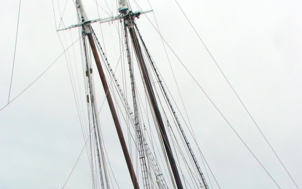 SV Adventurous grounding