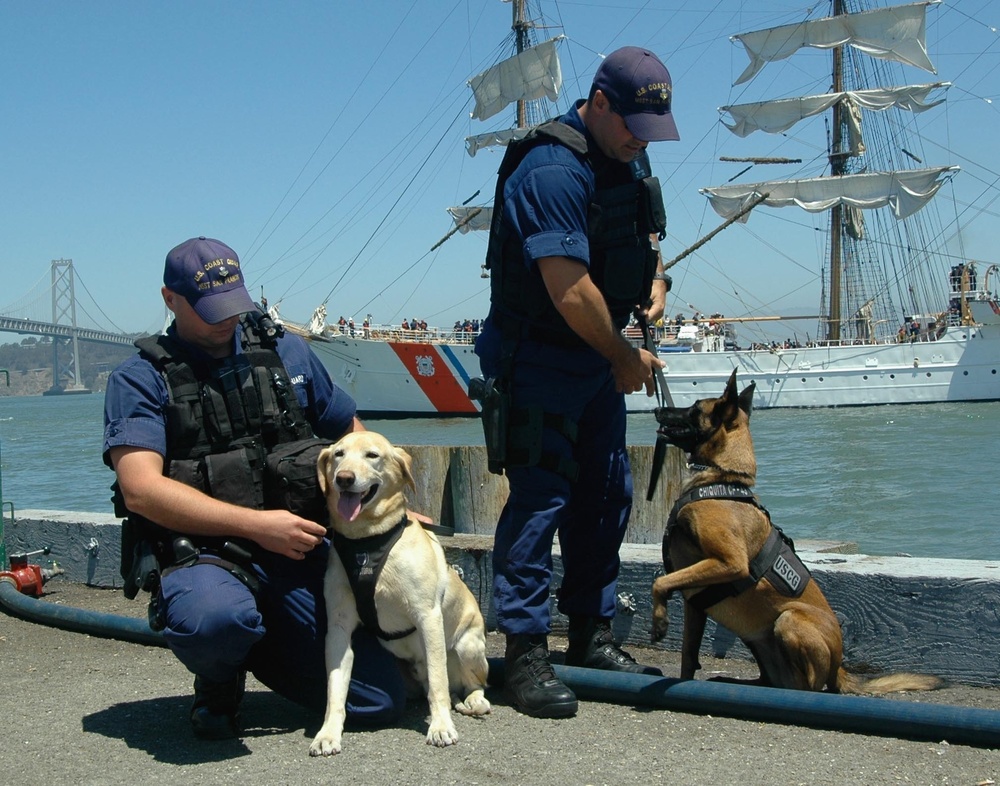 Coast Guard Dogs Prepare to Search for Explosives As Cutter Eagle Approaches San Francisco Dock