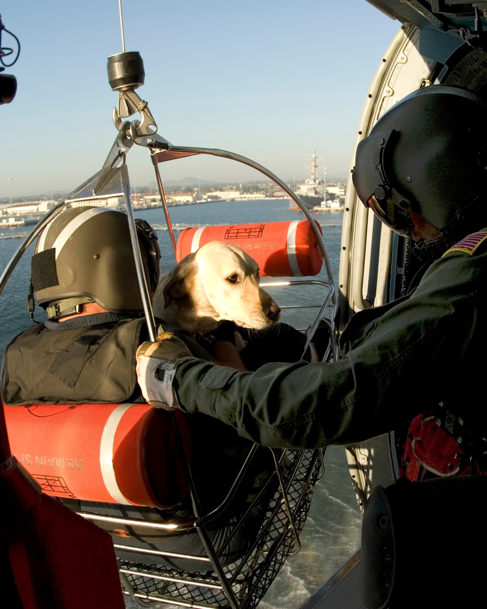 Vertical insertion training