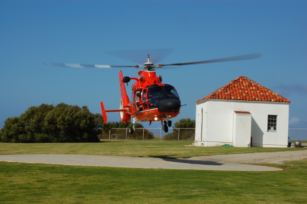 Whale of a Day celebration