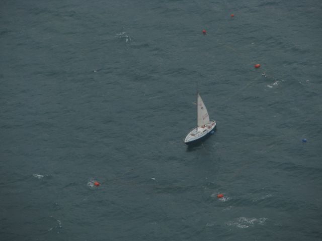 Sailboat caught in fishing net