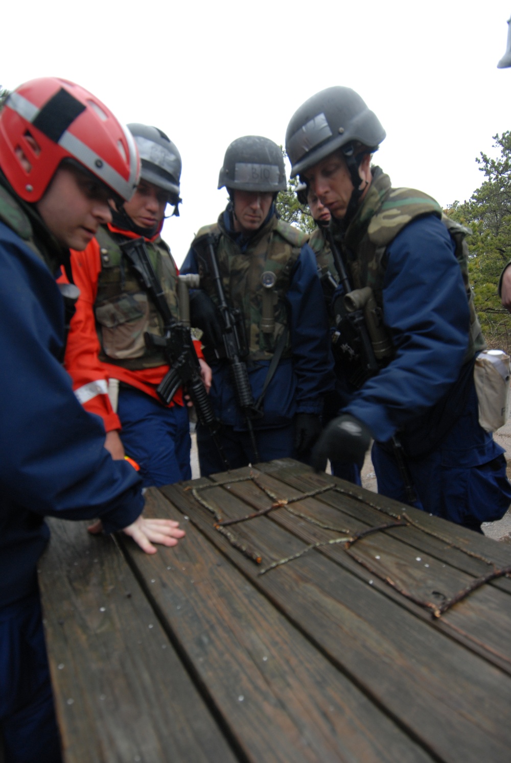 DOG Assessment and Selection