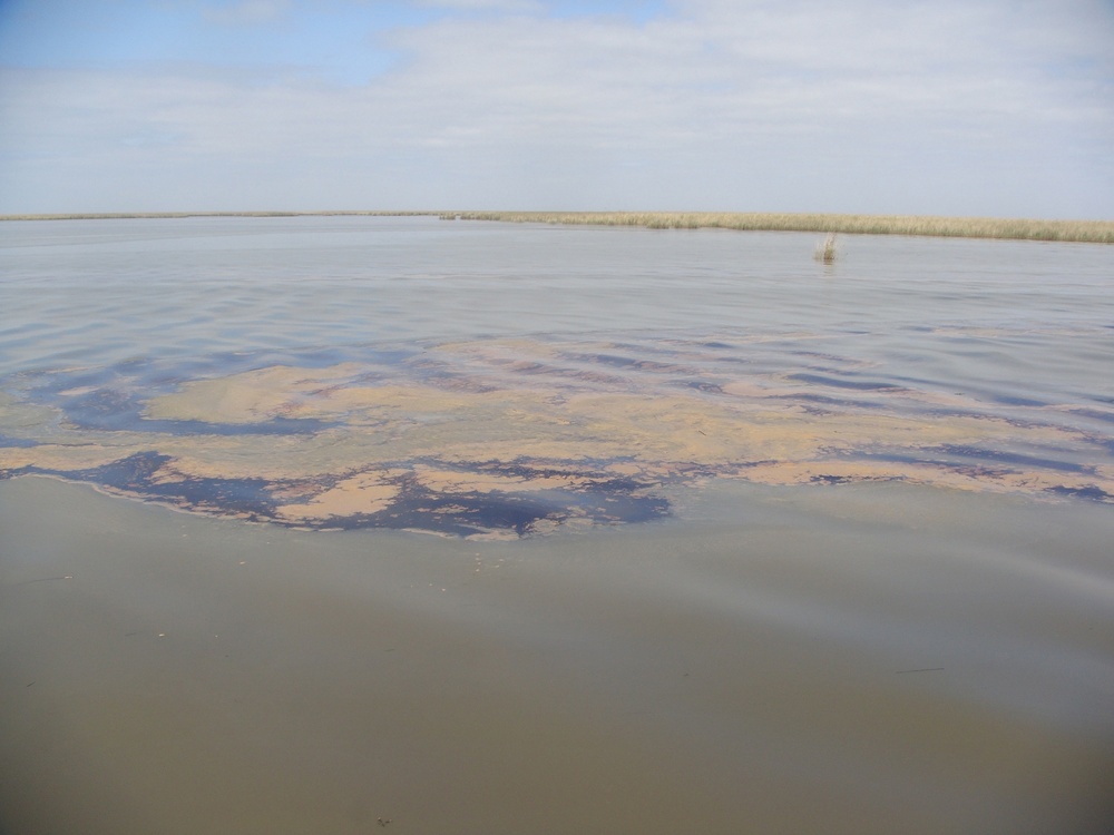 Louisiana oil spill