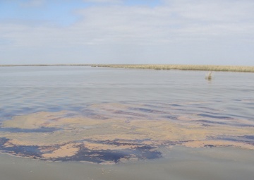 Louisiana oil spill