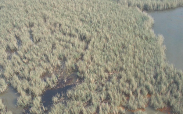 Delta NWR spill response