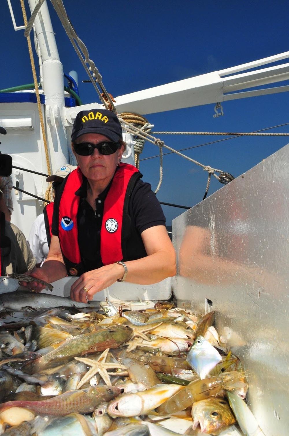 NOAA samples sea life in Gulf of Mexico   NOA