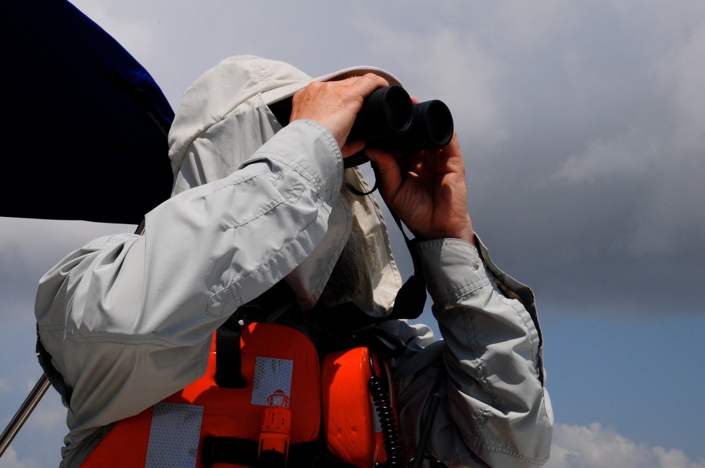 IBRRC members search for oiled birds